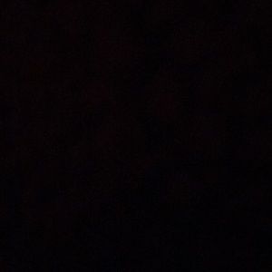 Meet your Posher, Dani